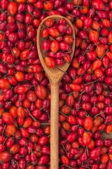 wooden spoon with wild rose