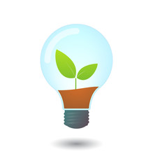 Lightbulb with a plant
