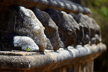 Fototapeta na wymiar Detail selective focus of elephant shape carved stone at Kanta