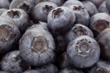 blueberries