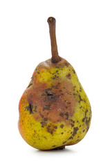 Rotten pear in three positions © k4d