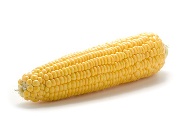 An ear of corn isolated on a white background
