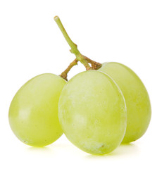 Green grape bunch