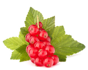 Red currants and green leaves still life