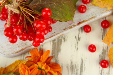 Red berries of viburnum with yellow leaves and flowers