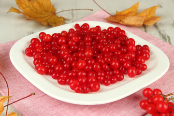 Red berries of viburnum