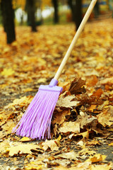 Cleaning of autumn leaves in park