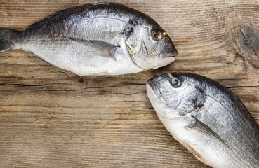 Gilt-head bream fish on wooden background. Mediterranean tavern,