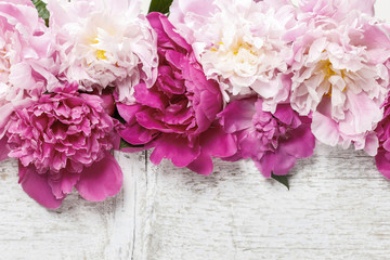 Stunning pink peonies on rustic wooden background. Copy space