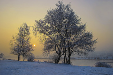 Trees covered with frost. Winter sunset, frozen river, misty
