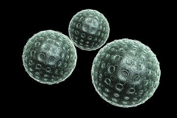 3D virus, H1N1 Virus, H5N1 Virus, H7N9 Virus, Bird Flu Virus