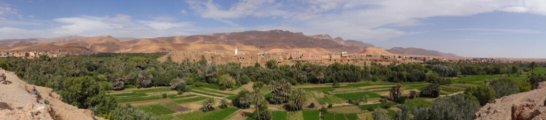 Fototapeta na wymiar Oaza w dolinie w Maroku Dade