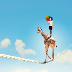 Giraffe walking on rope