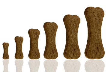 Biscotti per Cani