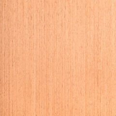 walnut wood texture, wood grain