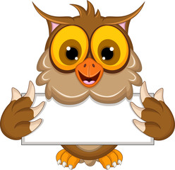 cute owl cartoon holding blank sign