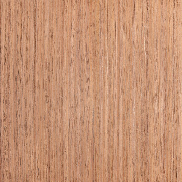 walnut wood veneer, tree background
