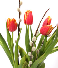 Bouquet of red-yellow tulips with twigs of willow