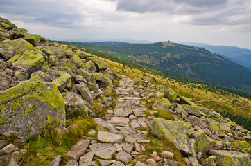 Path in Polish Karkonosze mountains, Poland