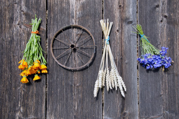 wheat and medical herbs bunch on old wooden wall