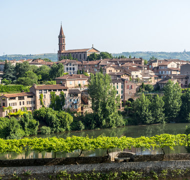 Albi, Palais de la Berbie, garden