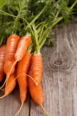 Fresh carrot with green leaves
