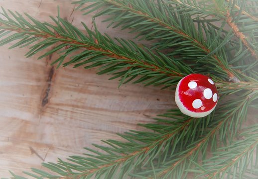 Weihnachtszweig mit Fliegenpilz