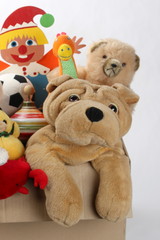 Kuscheltiere schauen aus Pappkarton heraus