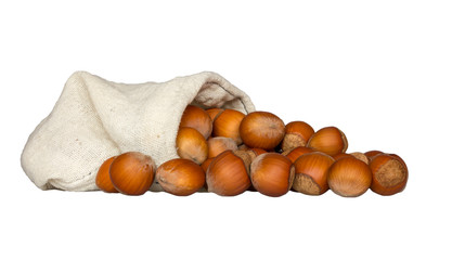 Hazelnuts isolated on white background