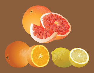 Citrus