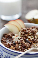 Müsli und Apfel