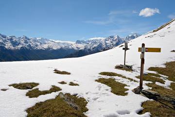 Mountain wooden signposts