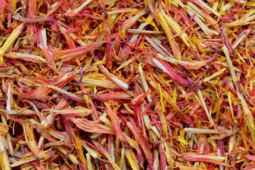 Fototapeta premium saffron