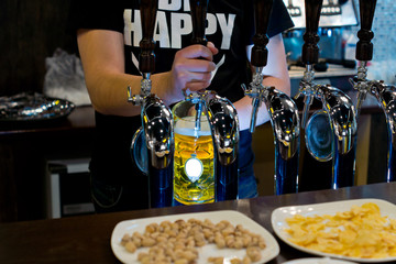 Barman serving draught beer in a pub