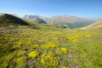 Fototapeta na wymiar Kolory latem alpejskie