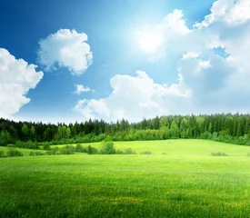 Fensteraufkleber Grasfeld und perfekter Himmel © Iakov Kalinin