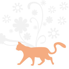 katze orange