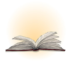 Open book, vector illustration