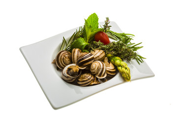 Escargot with asparagus, rosemary, thymus and tomato