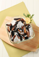 Raw mussels on ice