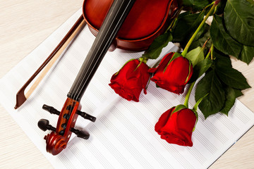 Fototapeta premium Red roses and a violin