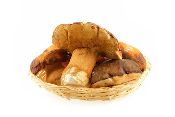 Cesto di funghi porcini con coltello