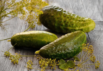 Cucumbers on garden table
