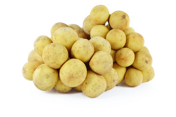 Wollongong on white background