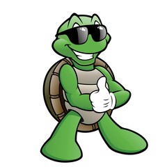 Fototapeta premium Smiling Turtle