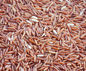 red rice background