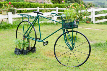 Old bicycle