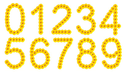 Set the numbers of flowers on a white background