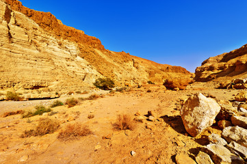 Fototapeta premium Riverbed