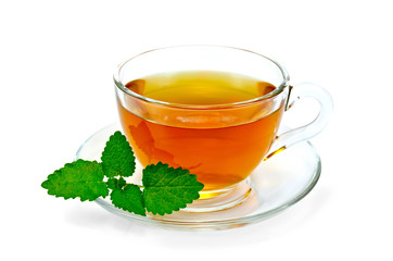 Herbal tea with melissa - obrazy, fototapety, plakaty